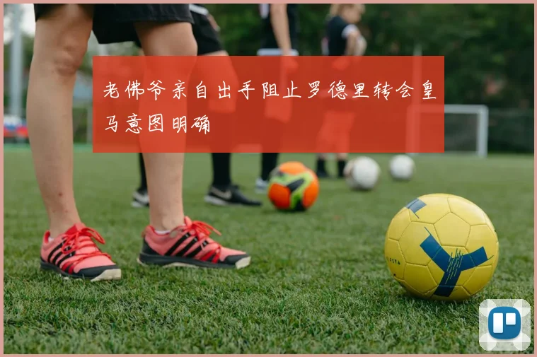 老佛爷亲自出手阻止罗德里转会皇马意图明确